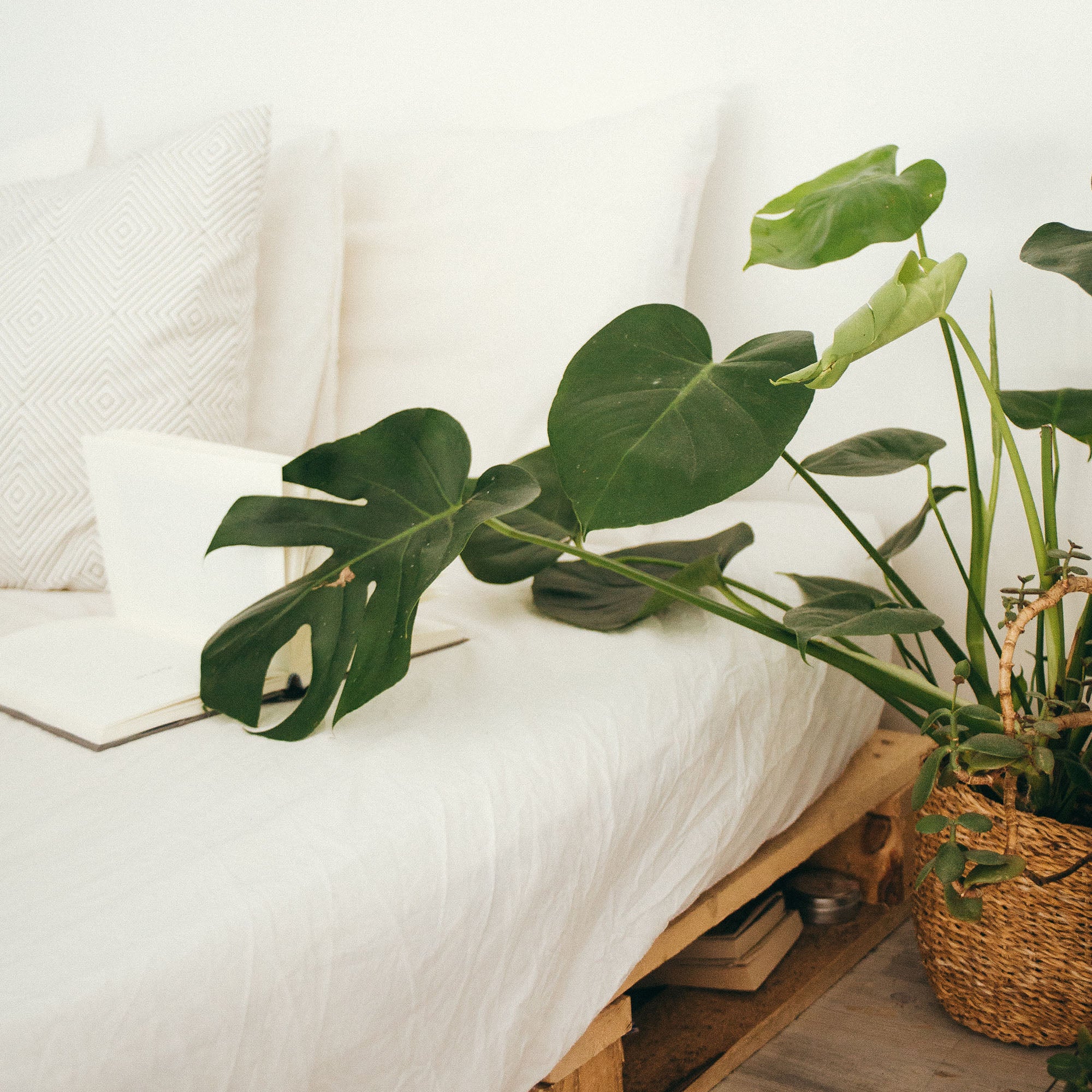 Como tener una casa inteligente ecológica