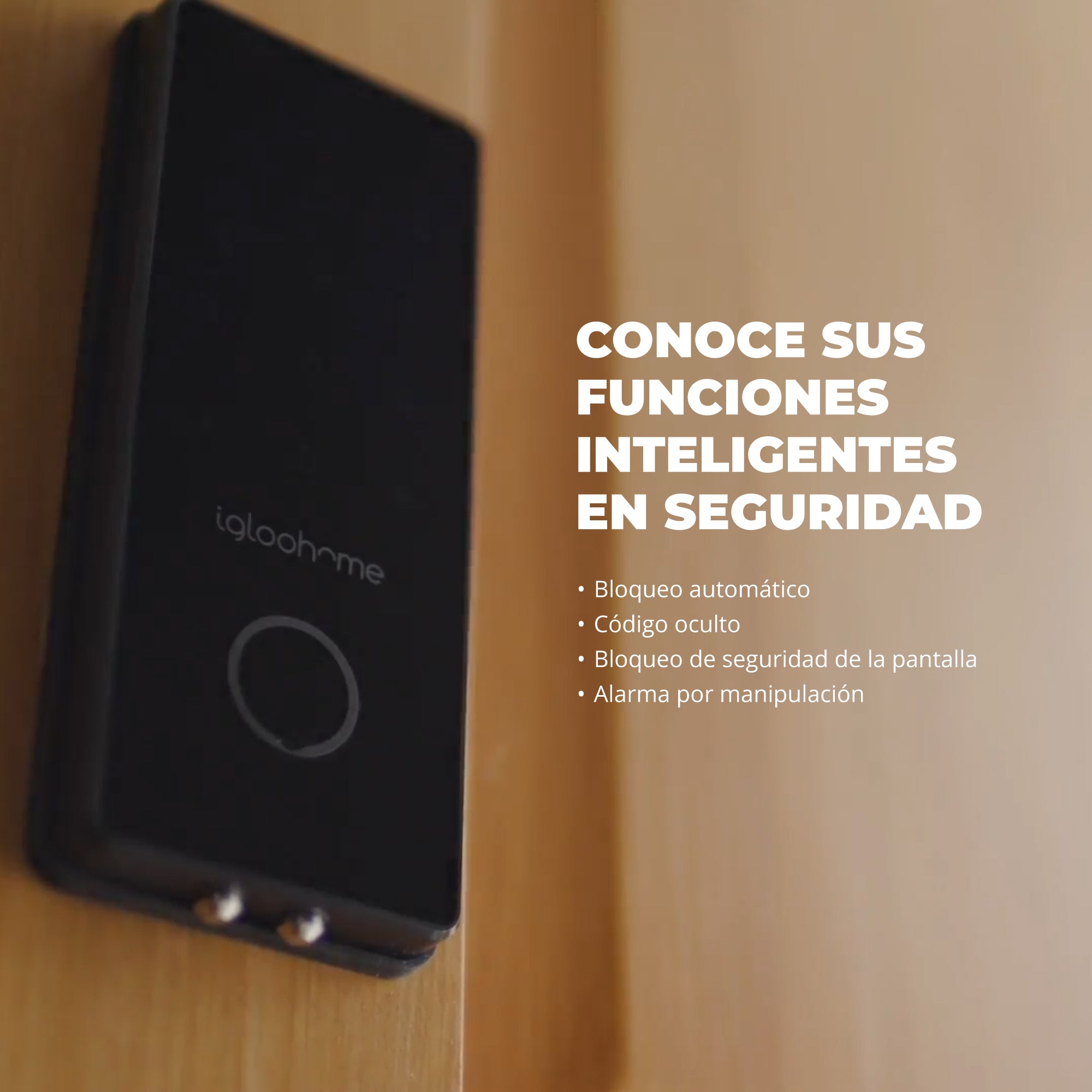 Cerradura inteligente Igloohome Deadbolt 2S Metal Grey