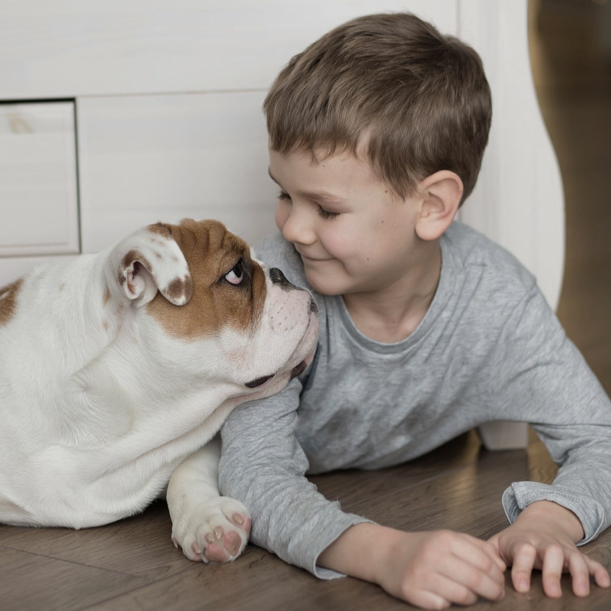 Cerradura Inteligente Igloohome Mortise Touch, con acceso vía app, lector de huella digital, código PIN, tarjeta RFID y llave mecánica de alta seguridad.