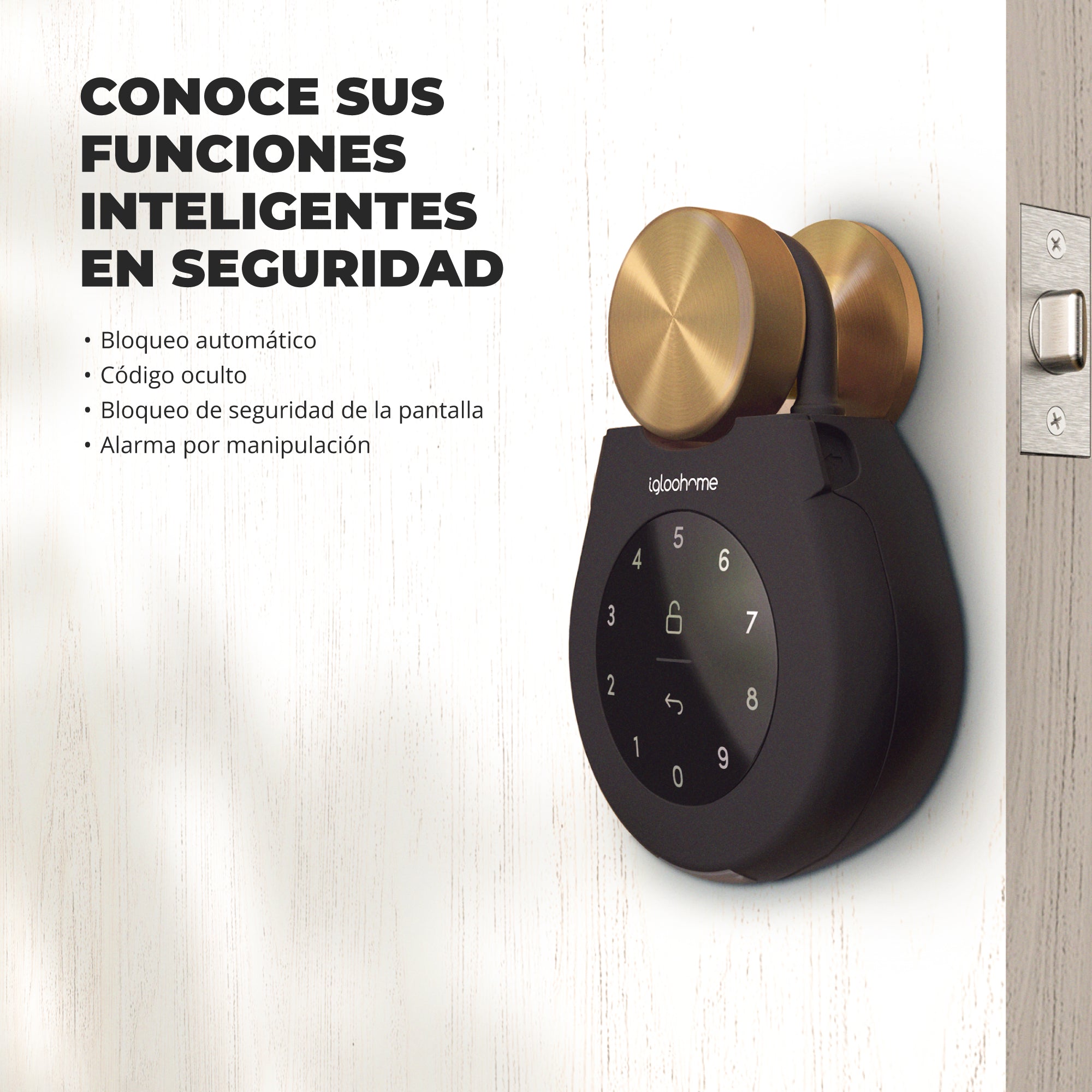 Cerradura inteligente Igloohome Glass Door Lock