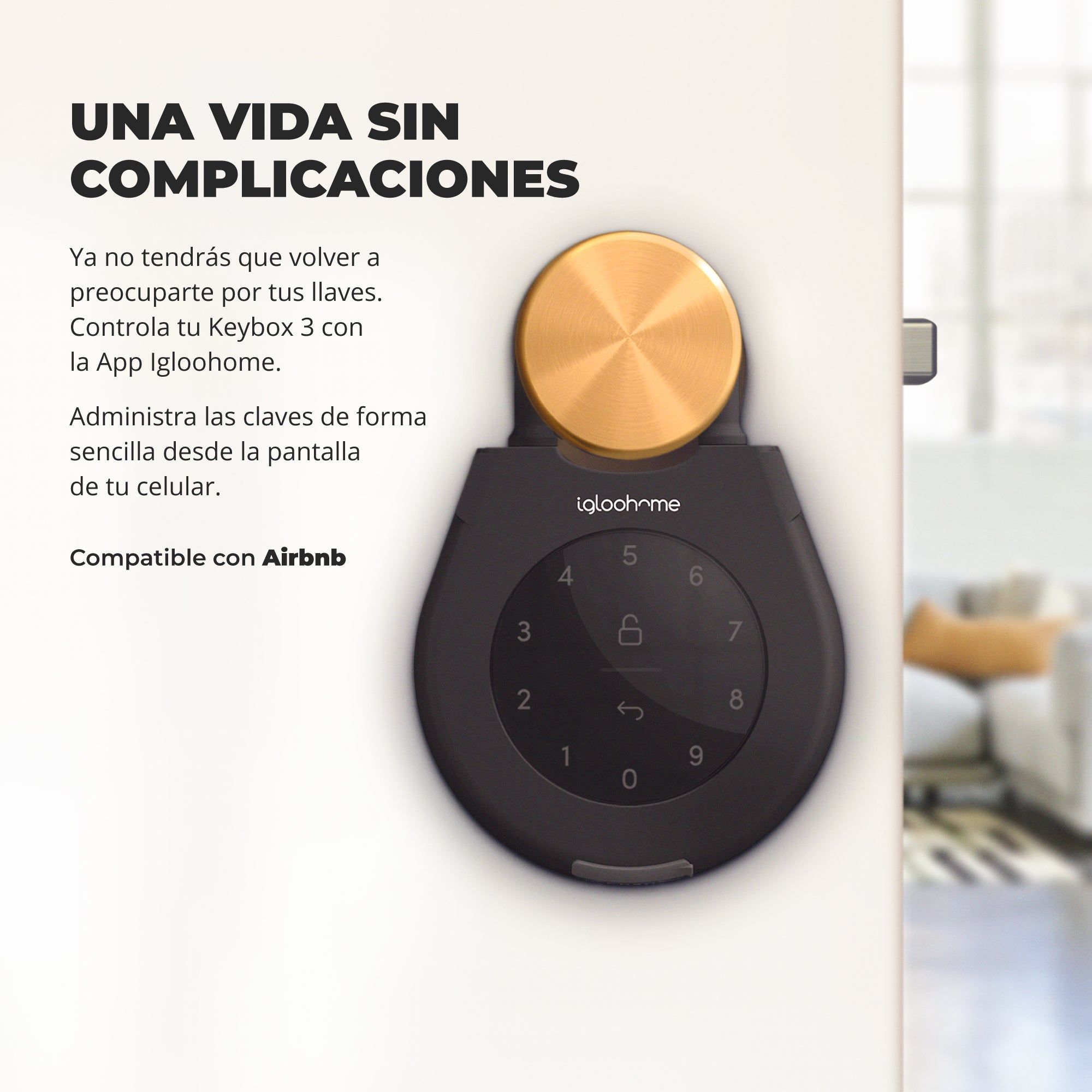 Cerradura inteligente Igloohome Glass Door Lock