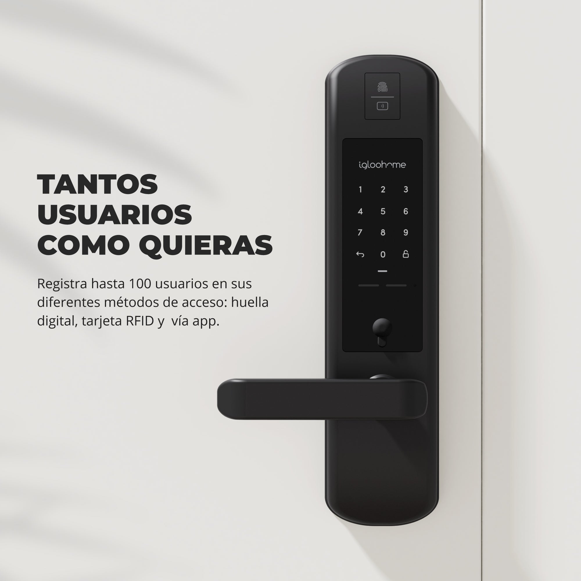 Cerradura inteligente Igloohome Mortise 2+