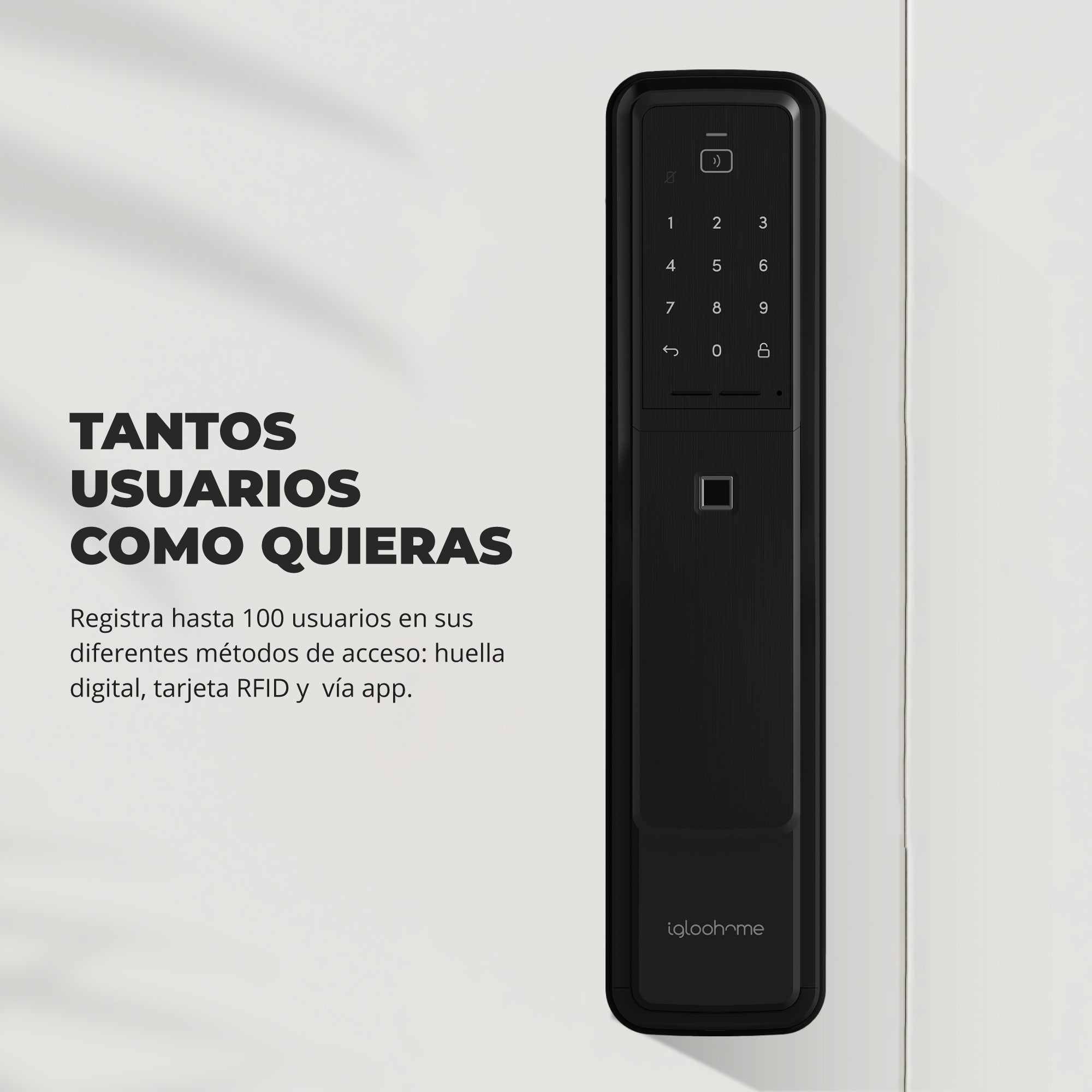 Cerradura inteligente Igloohome Push-Pull Mortise