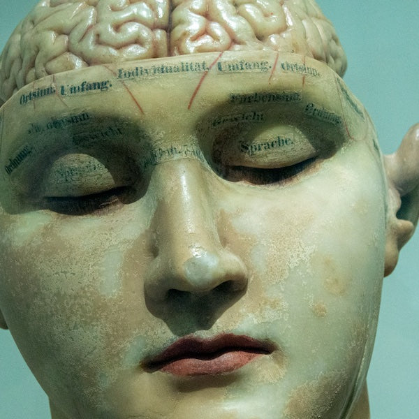 Neuralink: La fusión perfecta entre tecnología y cerebro